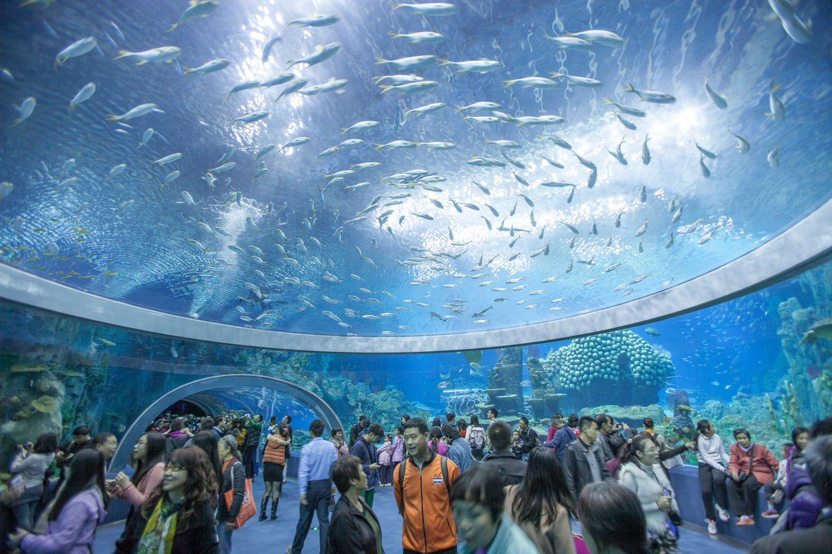 Aquarium and marine exhibits inside the National Oceanographic Museum in Nha Trang